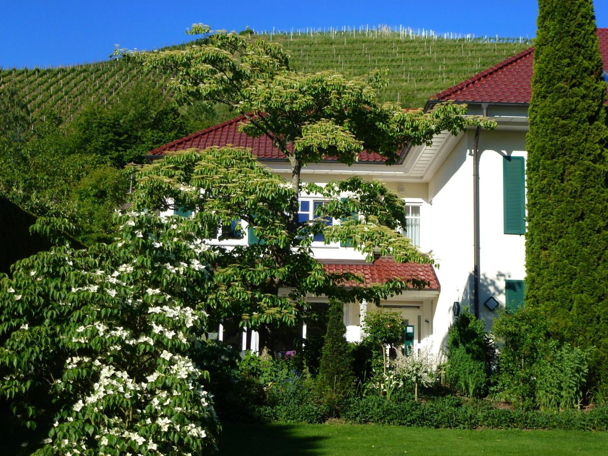 Baumanns Landhaus ドゥルバッハ 部屋 写真