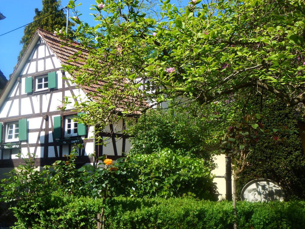 Baumanns Landhaus ドゥルバッハ エクステリア 写真