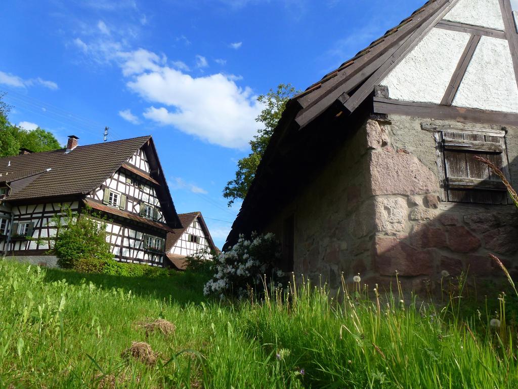Baumanns Landhaus ドゥルバッハ エクステリア 写真