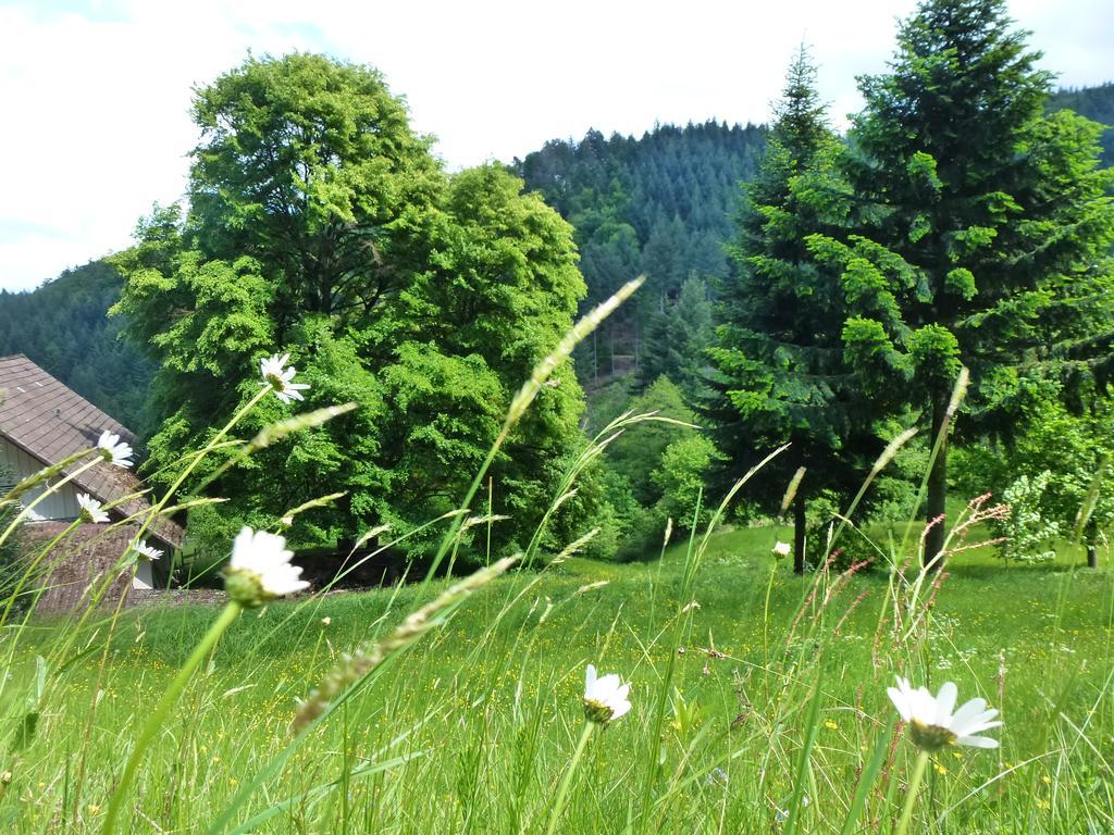 Baumanns Landhaus ドゥルバッハ エクステリア 写真